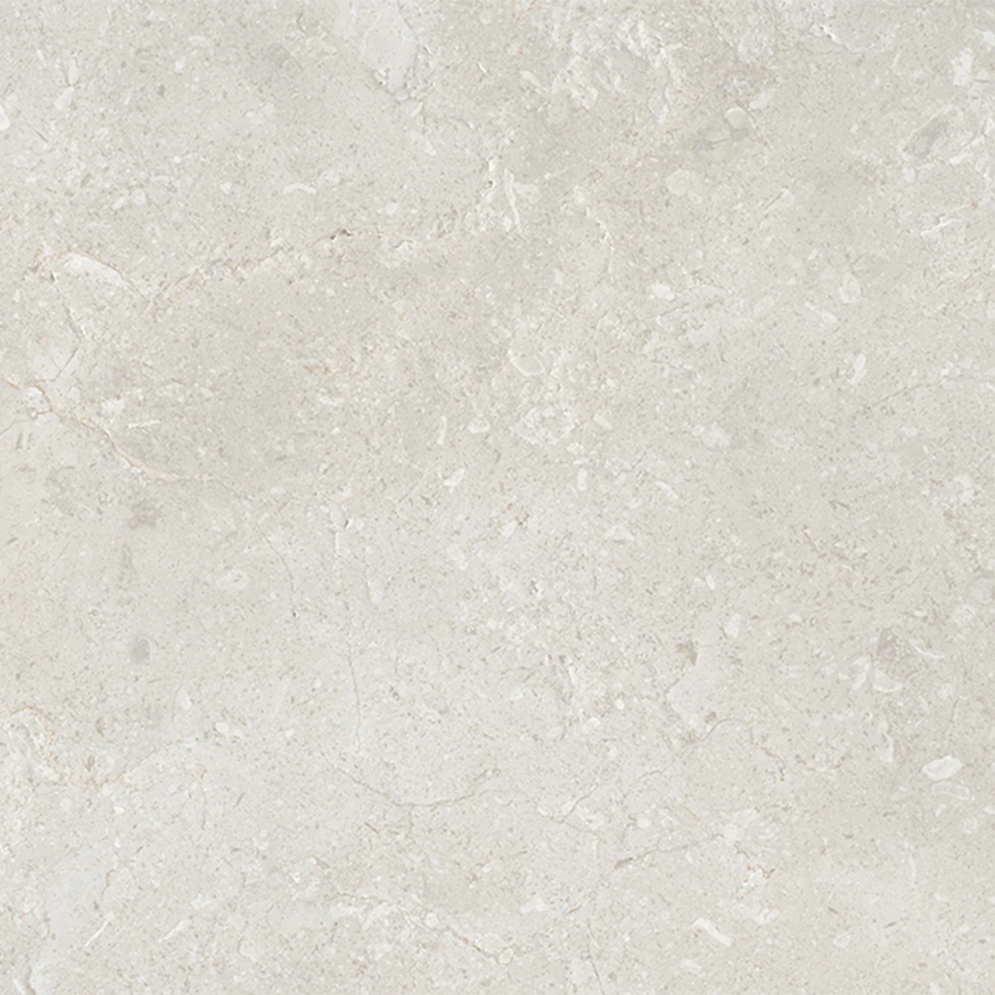 Belmont - 9.5mm Matt Tile Sample (P12883)