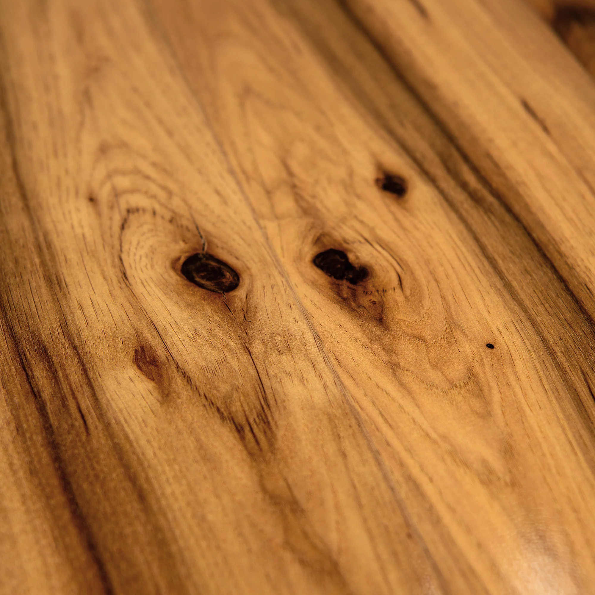 Hickory Bravo - Aqua Pro 8mm High Gloss Laminate Flooring - Image 8