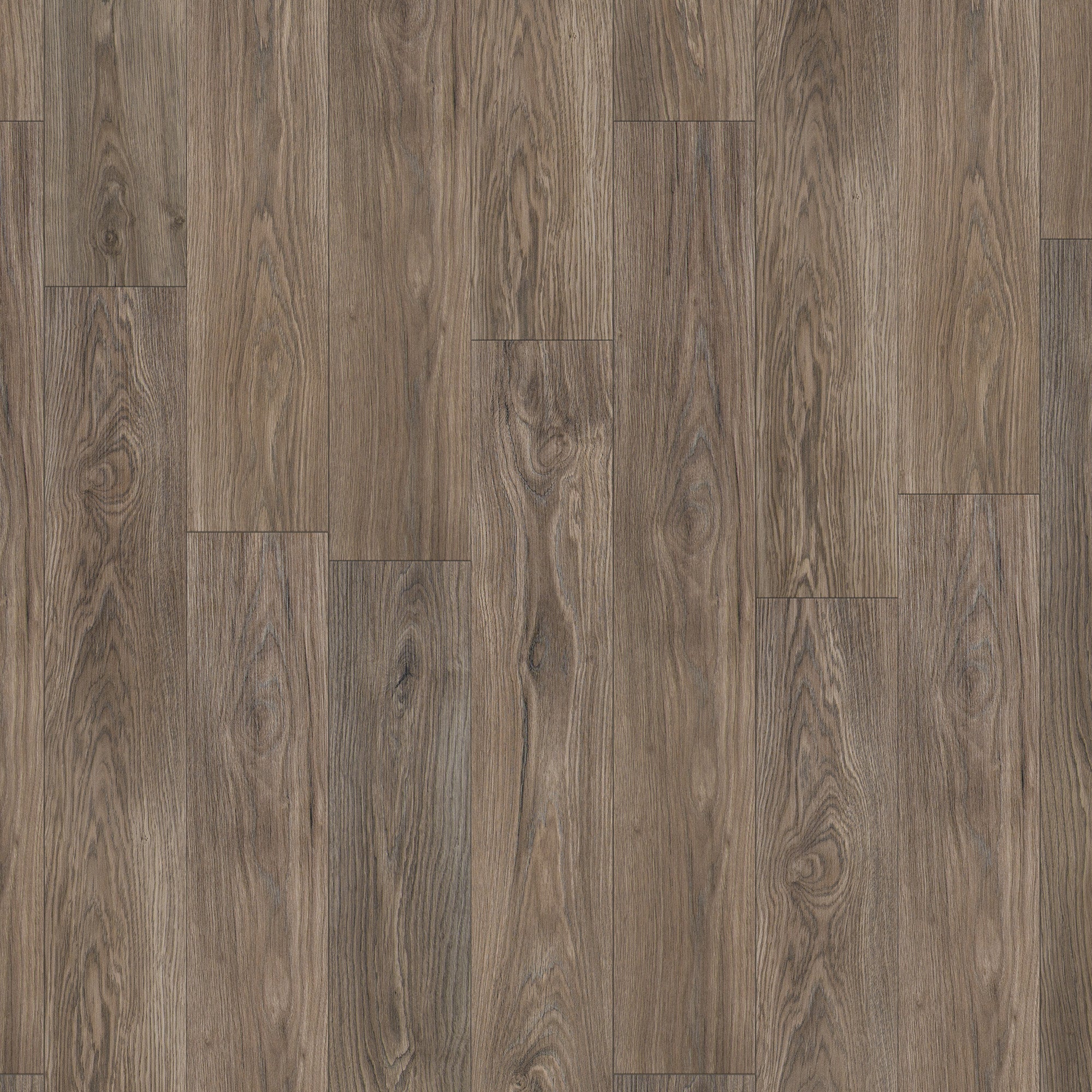 Twilight Oak - Supernatural Classic 8mm Embossed Laminate Flooring - Image 2