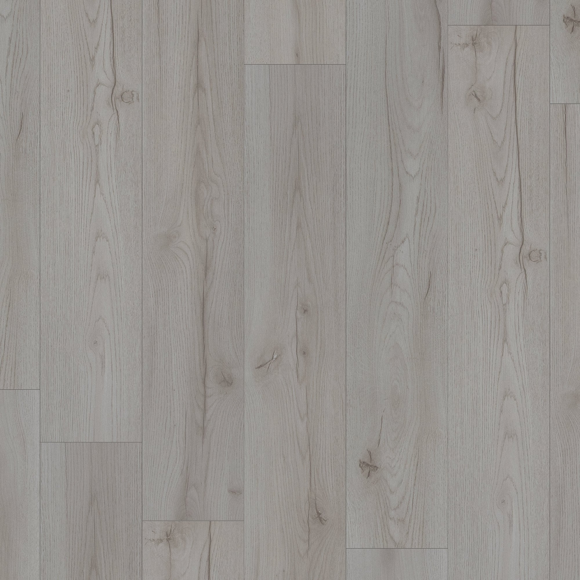 Century Oak Grey - Advanced 8mm Laminate Flooring (119817) - Image 2