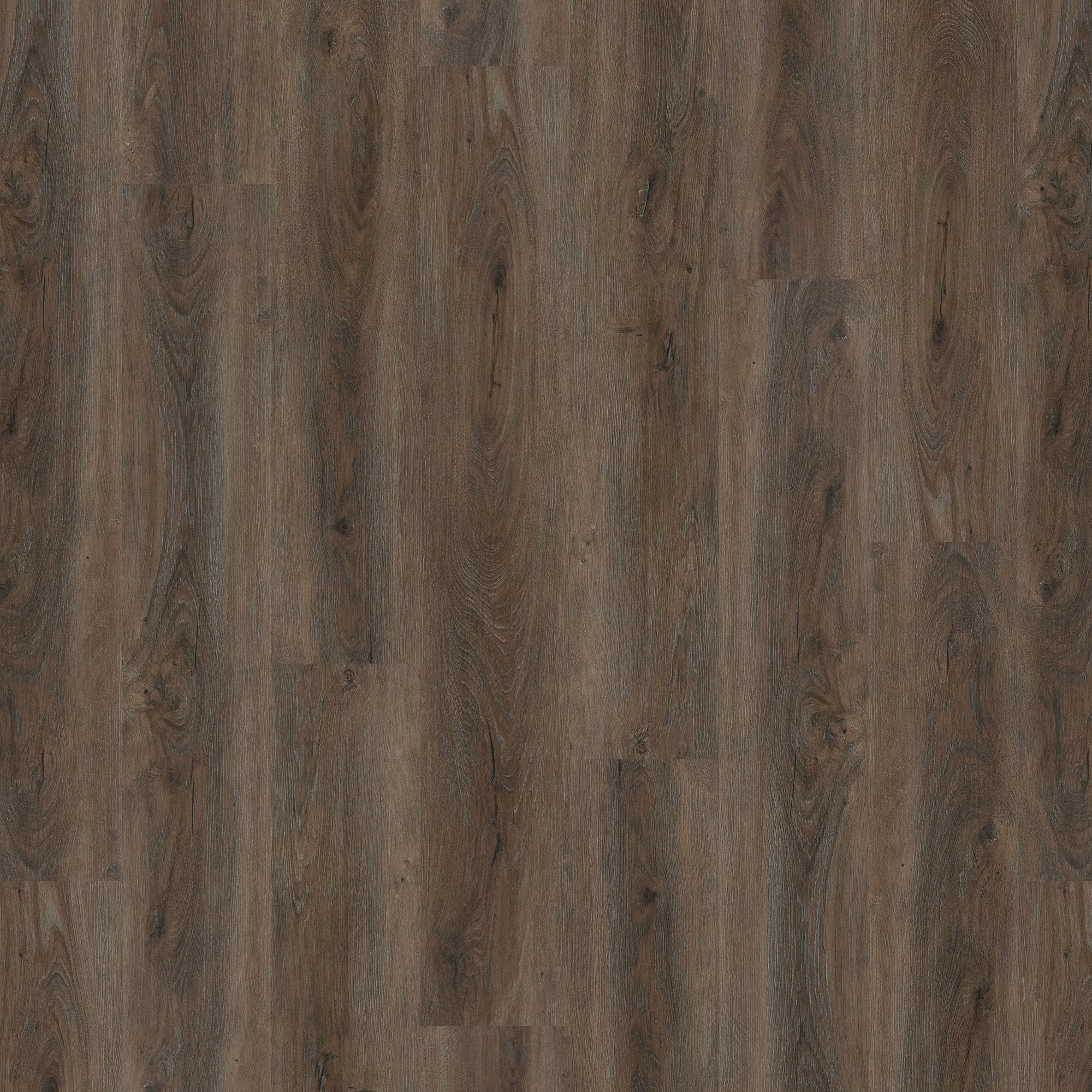 New Forest Oak - Lifestyle SPC 5mm Rigid Core Vinyl Flooring (119075) - Image 3