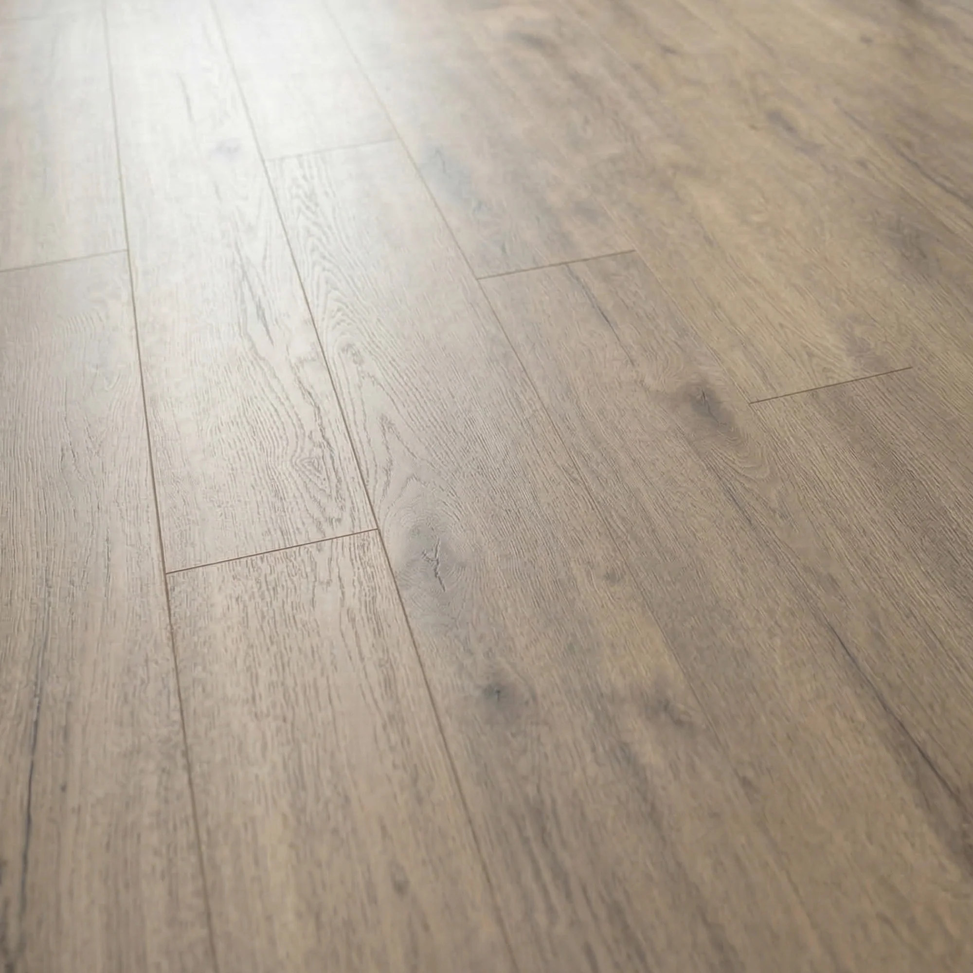 Pettersson Oak Beige - Exquisite 8mm Laminate Flooring - Image 2