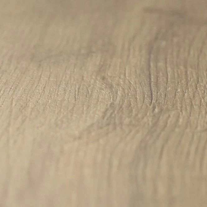 Premium Oak - Robusto Villa 12mm Laminate Flooring - Image 6