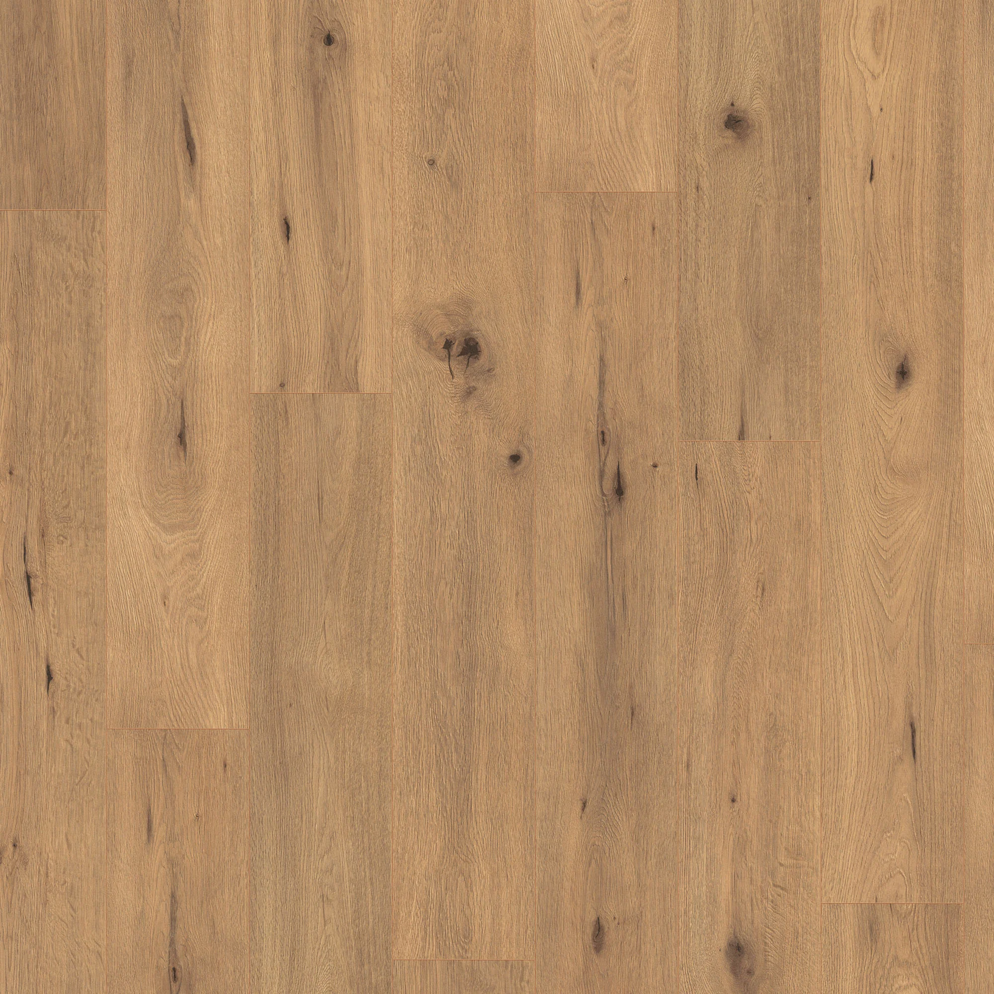 Untamed Oak - Wood Essence Water Resistant 7mm Laminate Flooring - Image 2